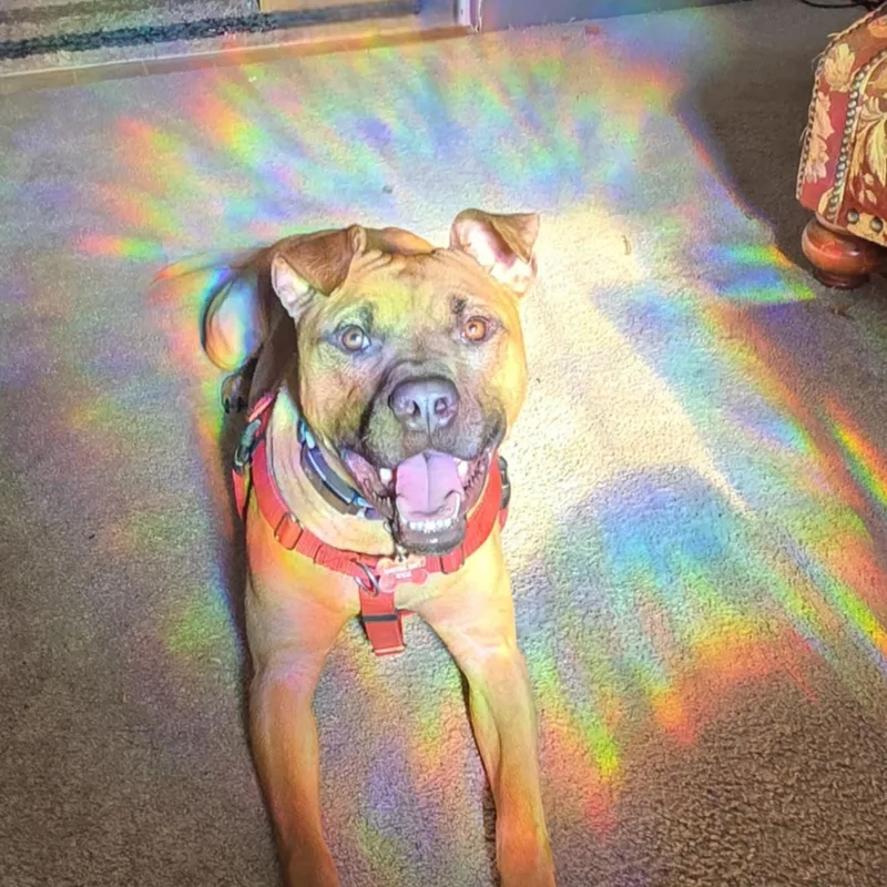 Vermont  Take My thumbnail 3