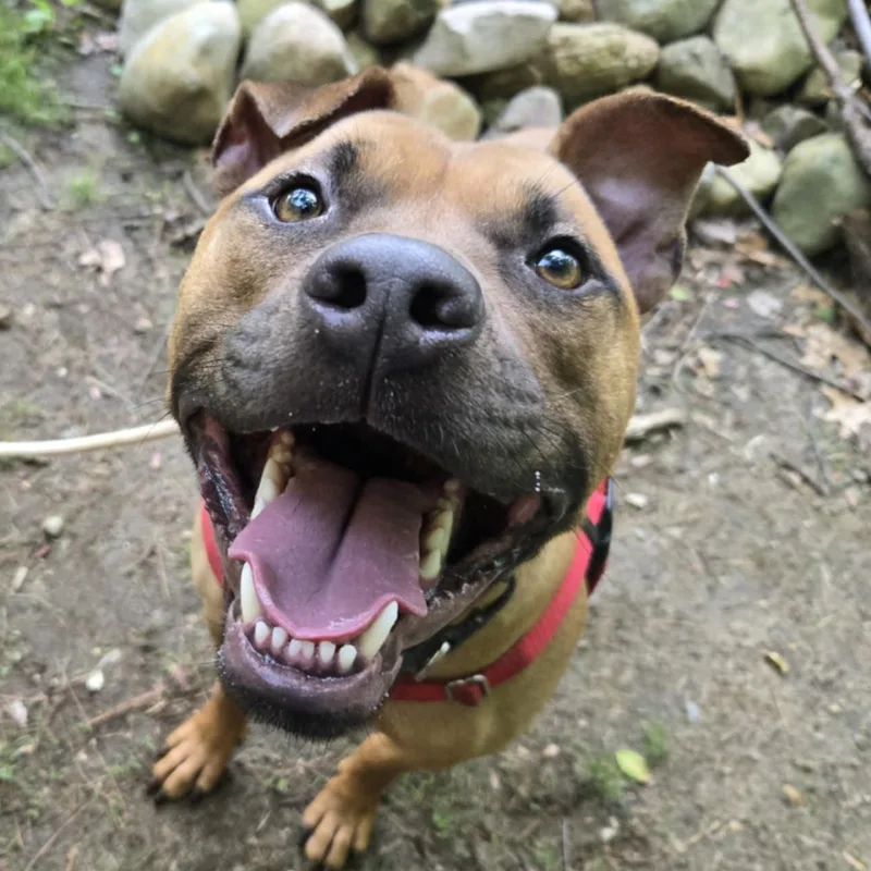 Vermont Take My photo 1