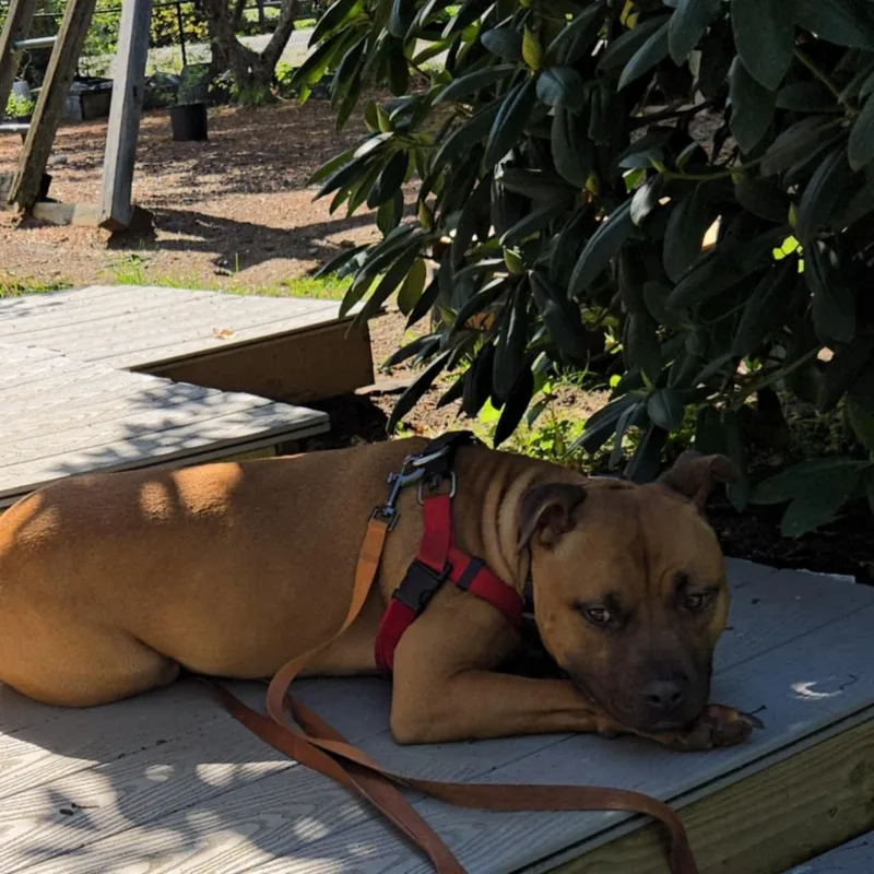 Vermont  Take My thumbnail 5