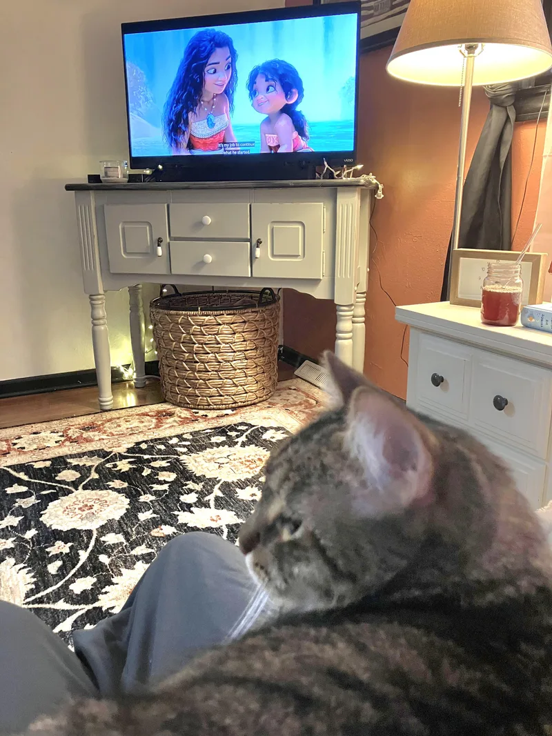 Buddy - Affectionate And thumbnail 3