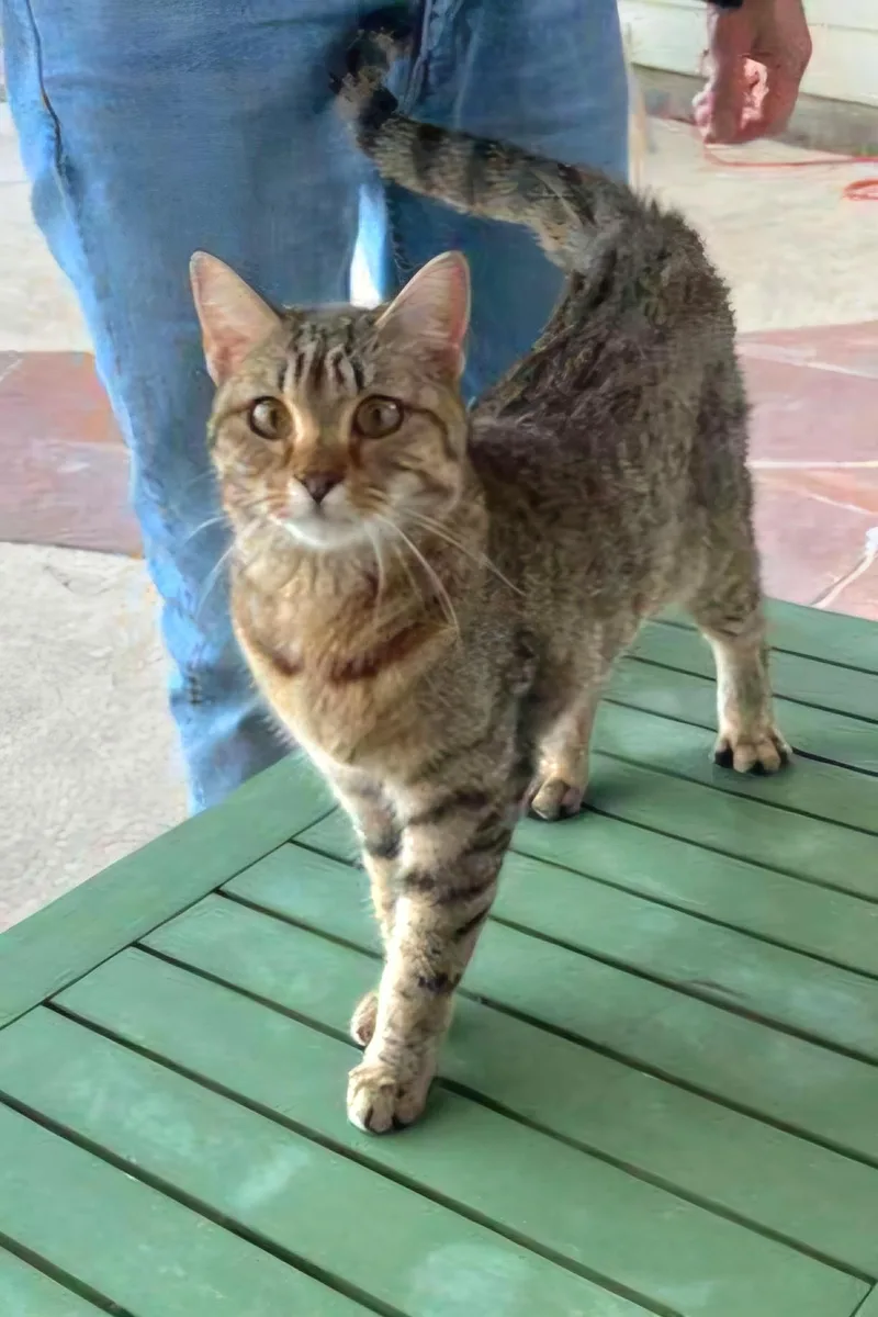 Judi - Affectionate Girl!