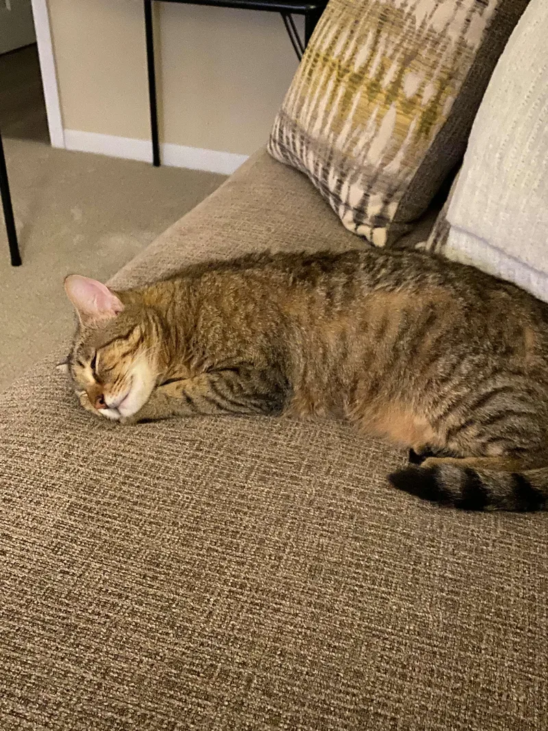 Judi - Affectionate Girl! thumbnail 6