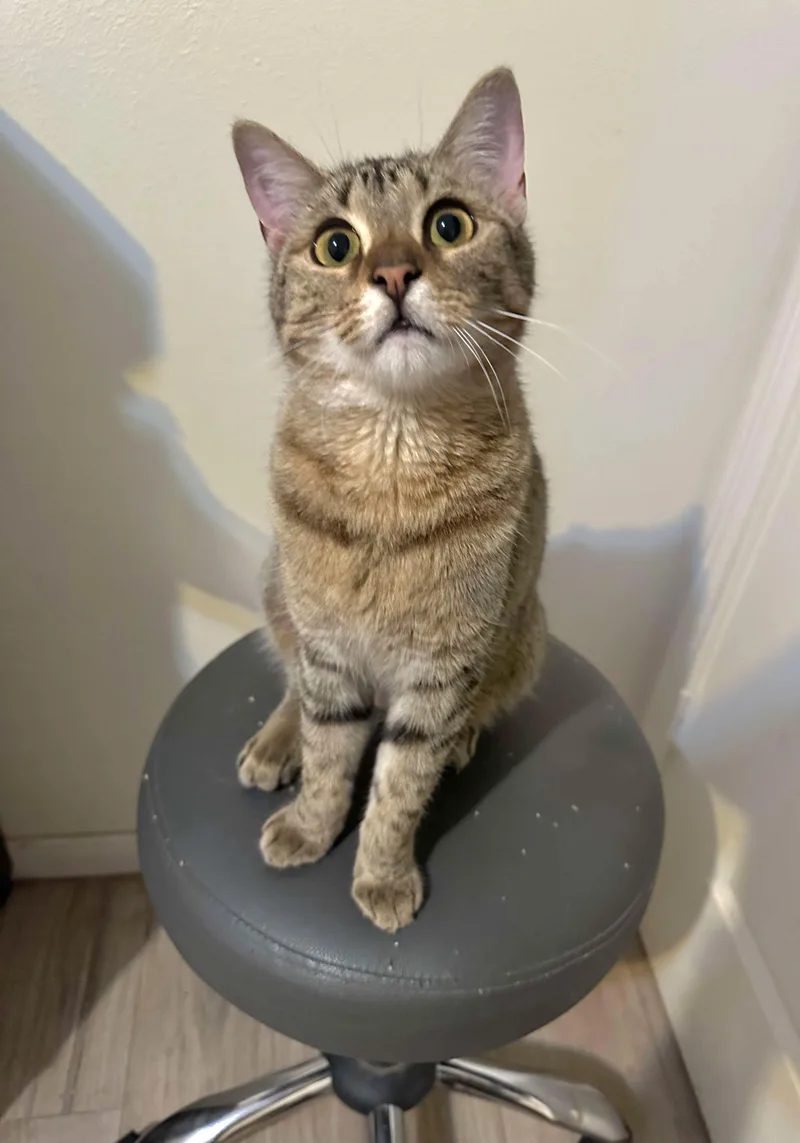 Judi - Affectionate Girl! thumbnail 3