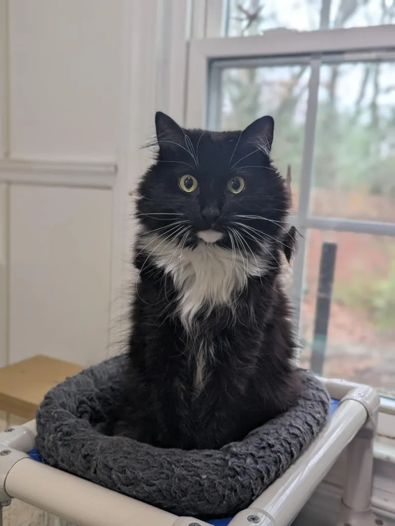 Teddy Pendergrass photo 1