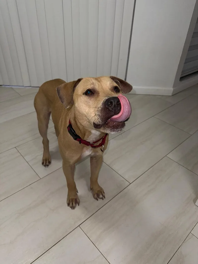 Hercules thumbnail 2