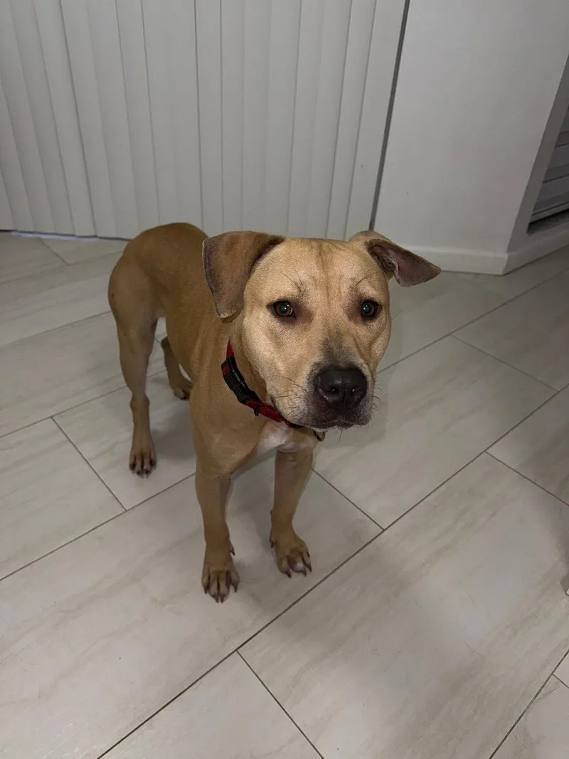 Hercules thumbnail 3