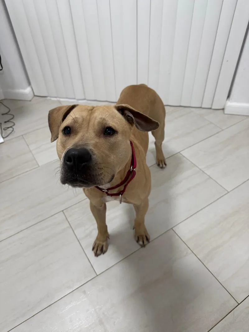 Hercules thumbnail 4