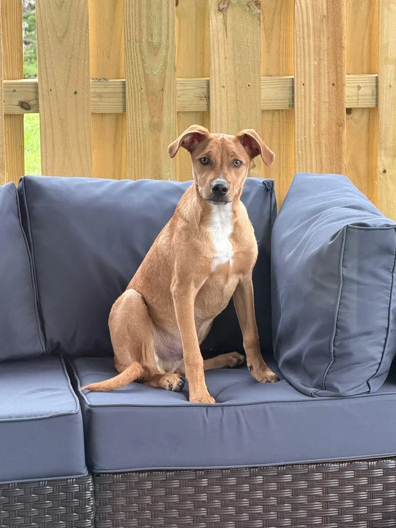 Lennardo thumbnail 6