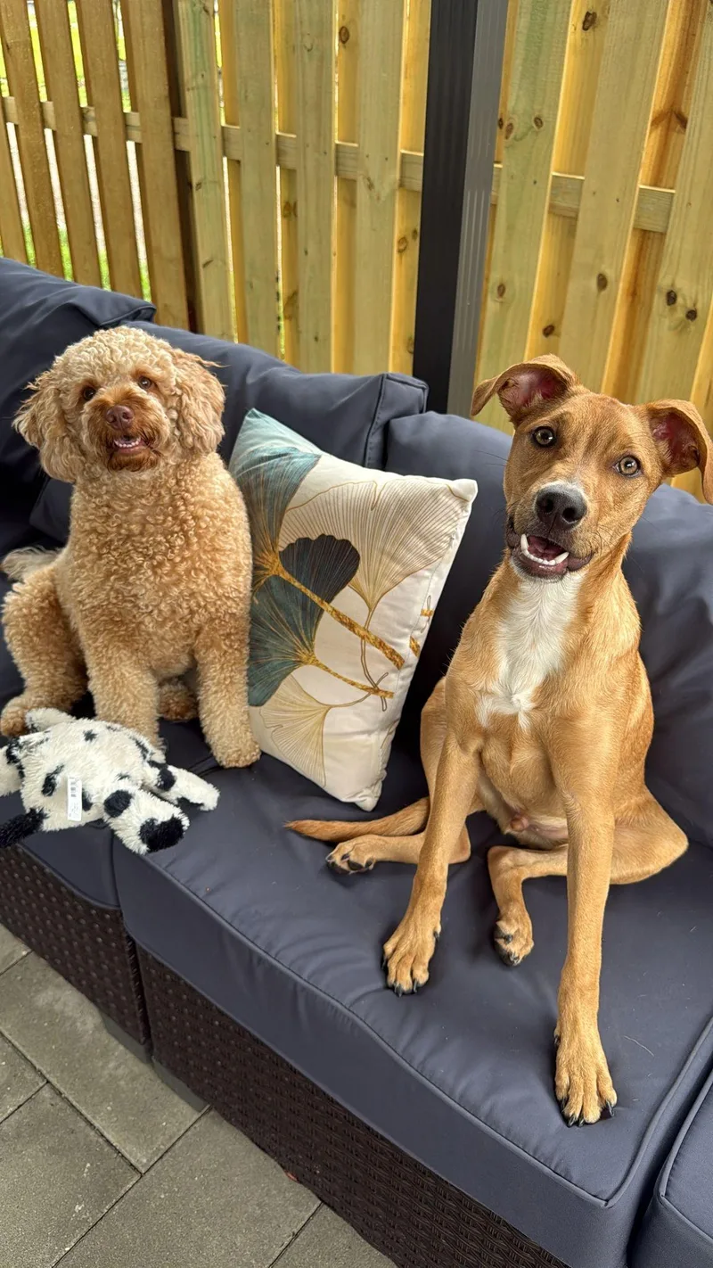 Lennardo thumbnail 2