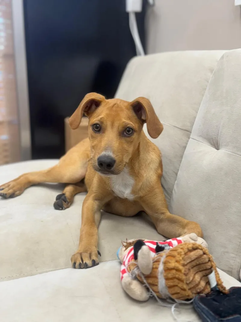 Lennardo thumbnail 4