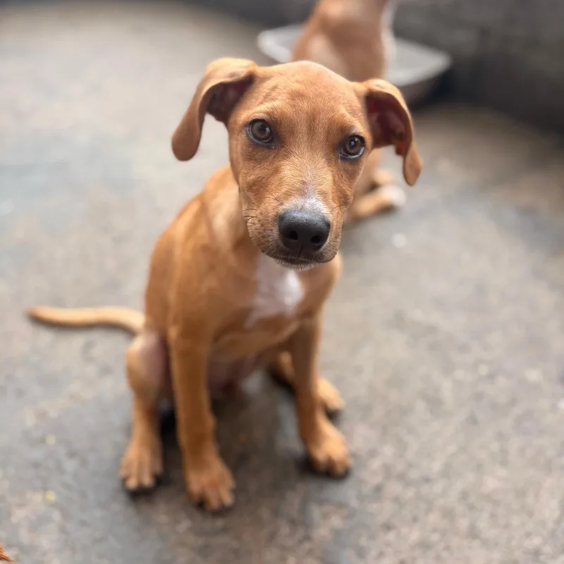 Lennardo thumbnail 5