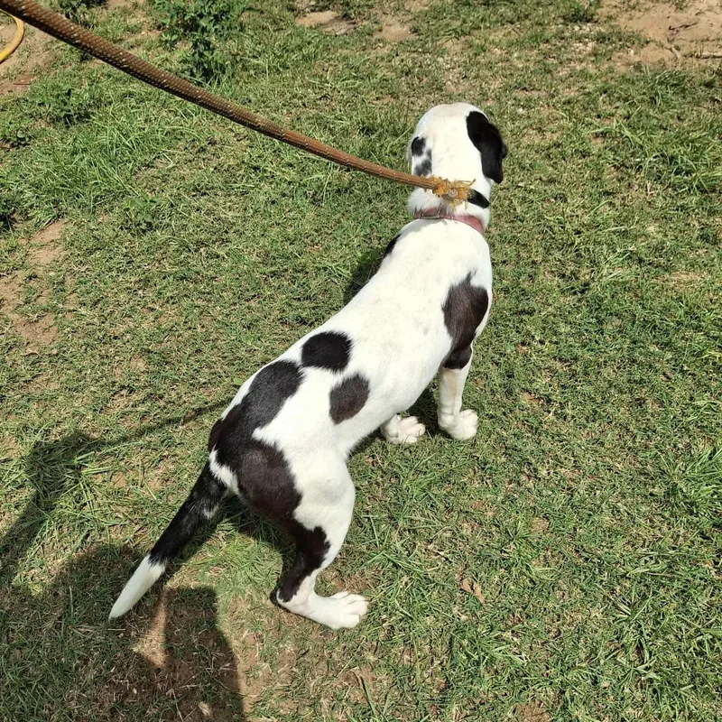 Ashleigh thumbnail 4