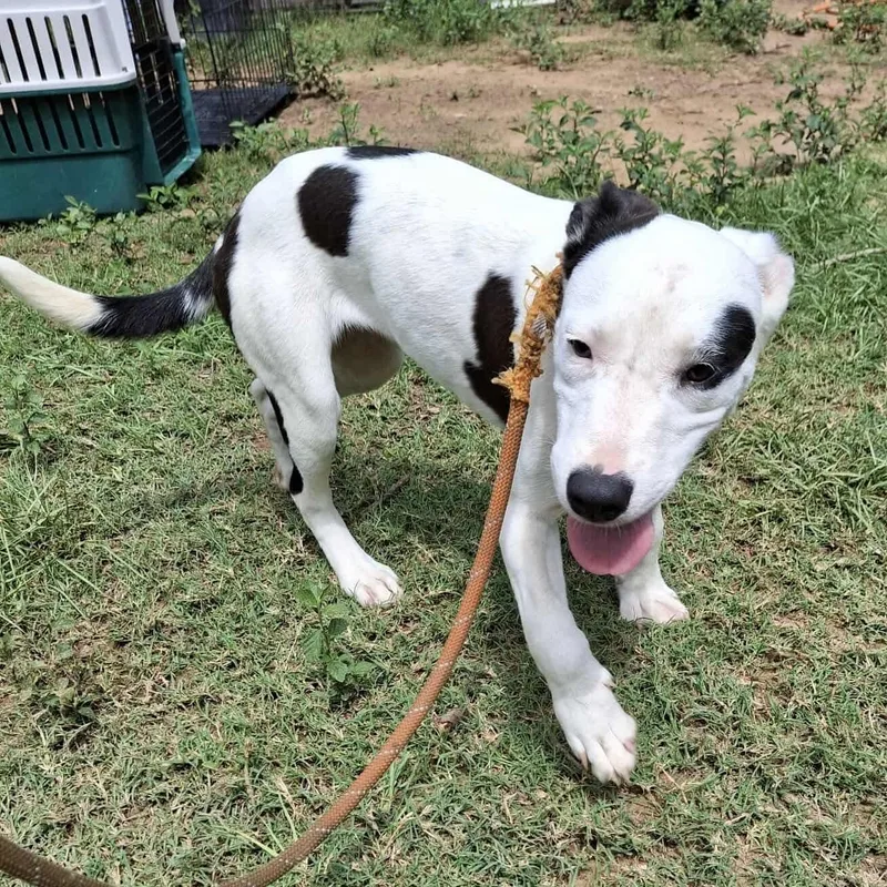 Ashleigh thumbnail 2