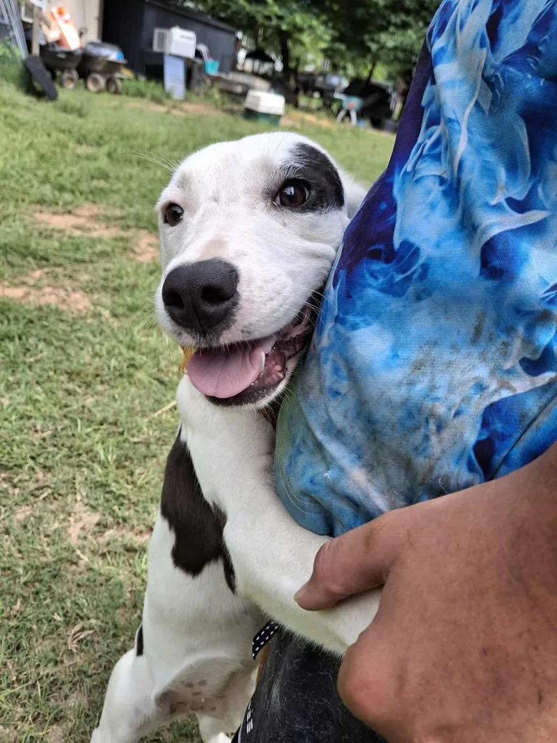 Ashleigh thumbnail 3