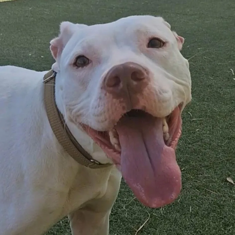 Betty White thumbnail 3