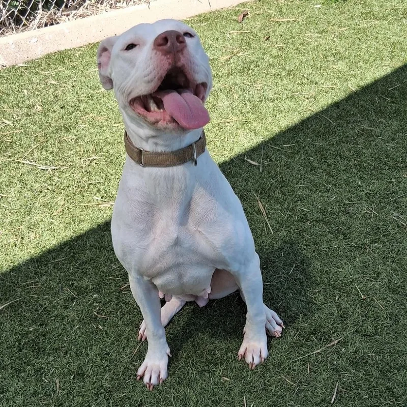 Betty White thumbnail 5