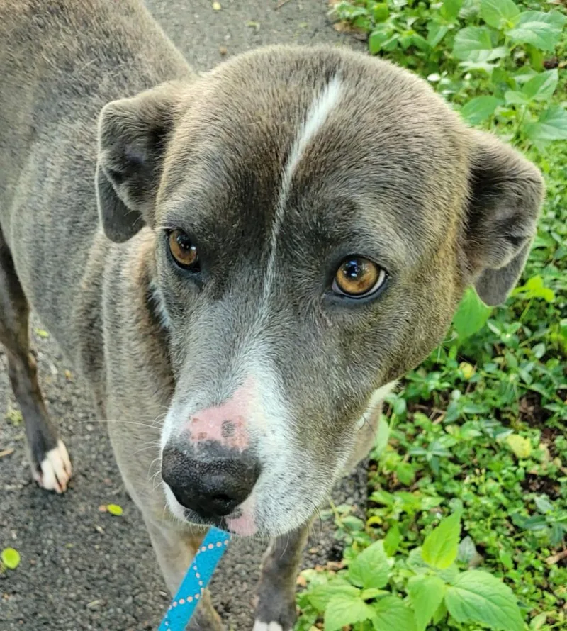 Coco