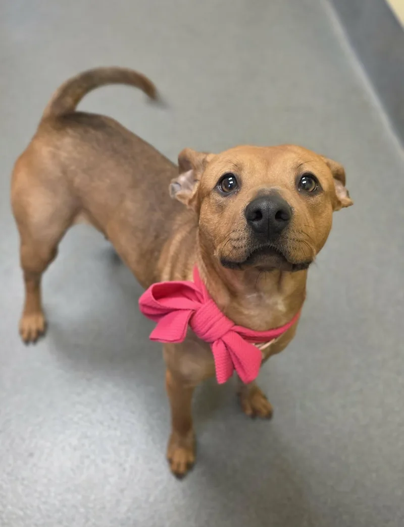 Delores  Staff Favorite! thumbnail 4