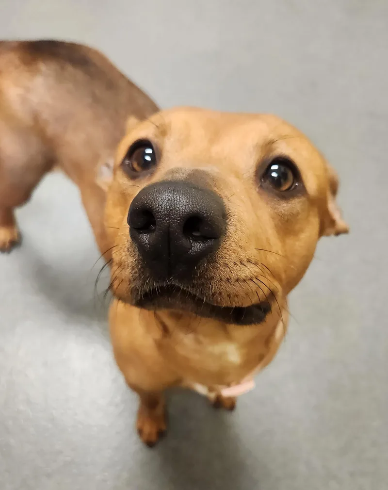 Delores  Staff Favorite! thumbnail 5