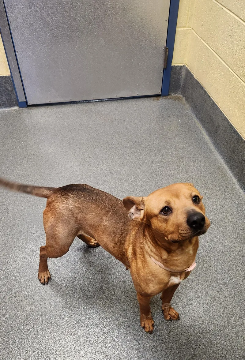 Delores  Staff Favorite! thumbnail 6