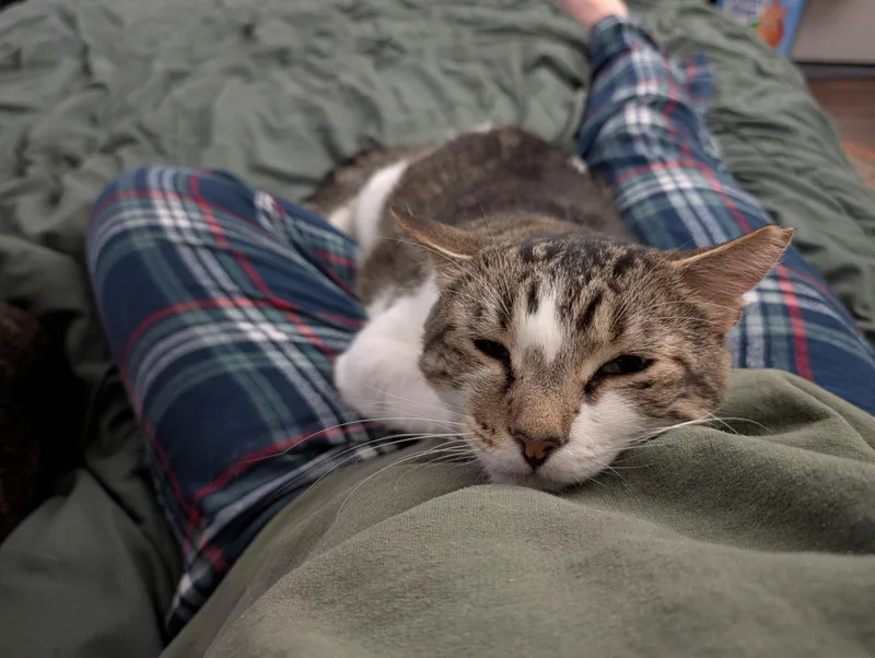 Tom thumbnail 5