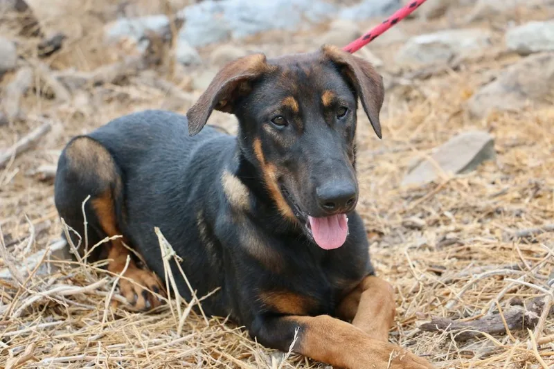 Slightly thumbnail 2