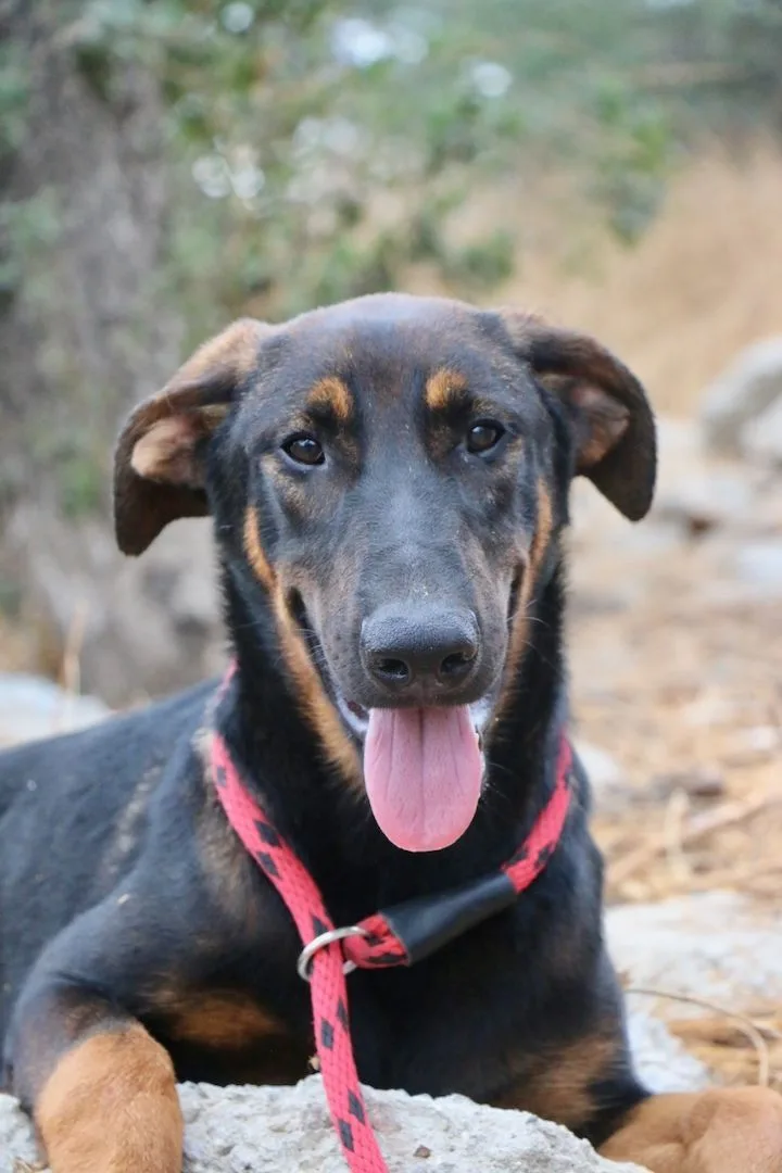 Slightly thumbnail 3