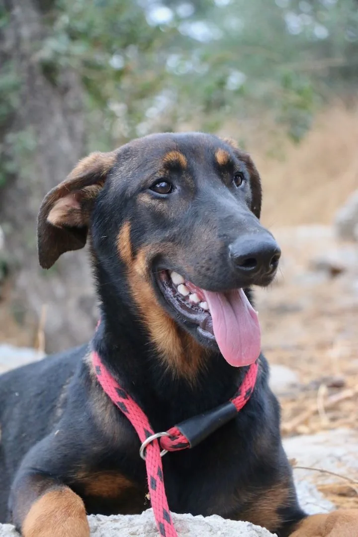 Slightly thumbnail 4