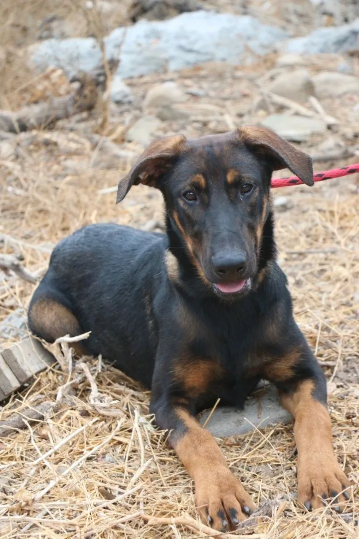 Slightly thumbnail 5