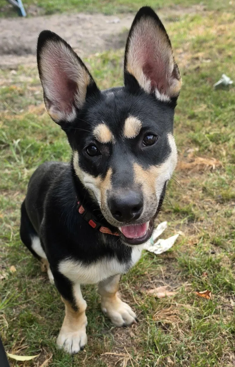 Winnie