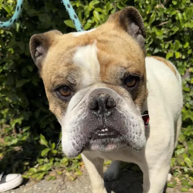 Atlas thumbnail 3