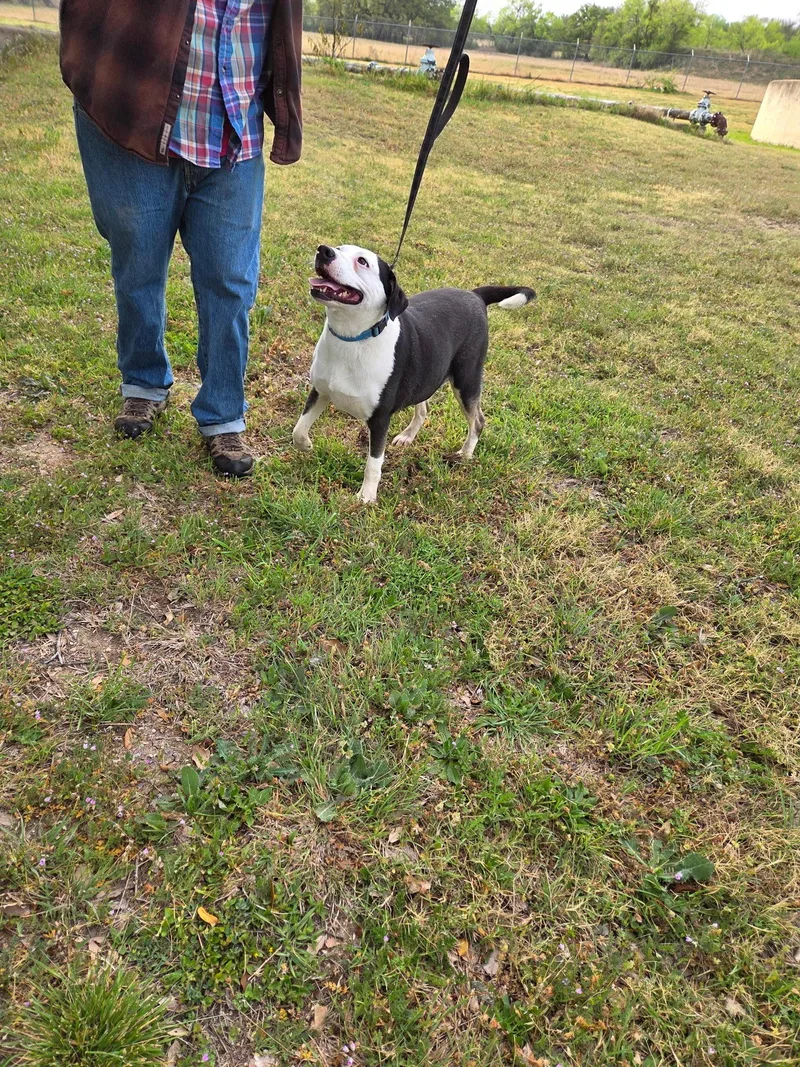 Rosesweet Soul thumbnail 4