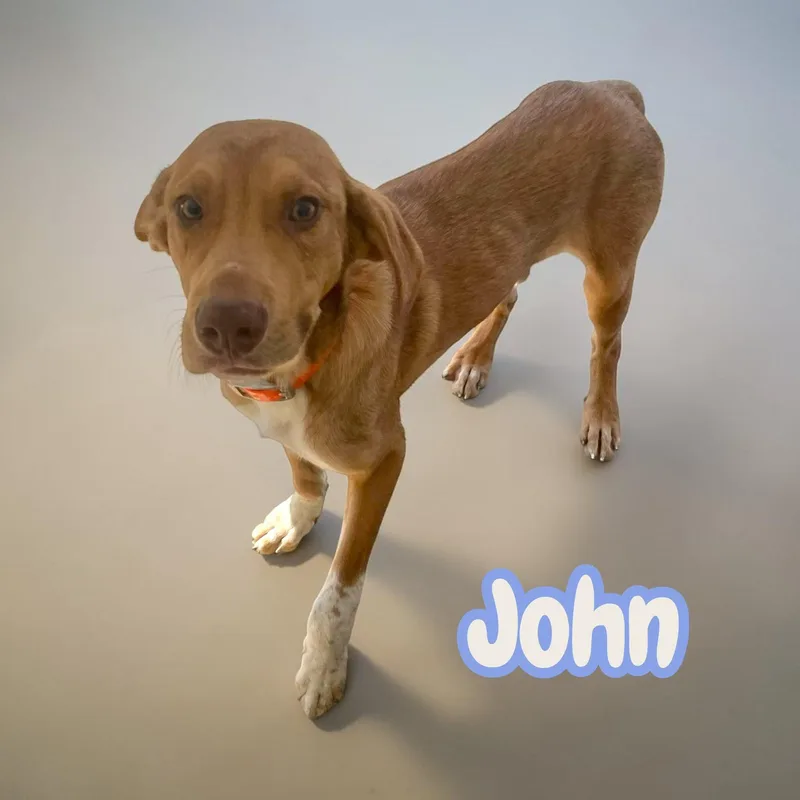 John  Sweet  thumbnail 2