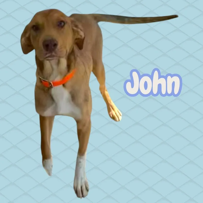 John  Sweet  thumbnail 3