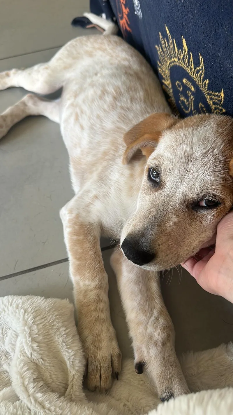 Galadriel thumbnail 3