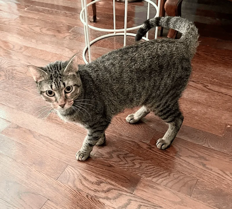 Precious thumbnail 2