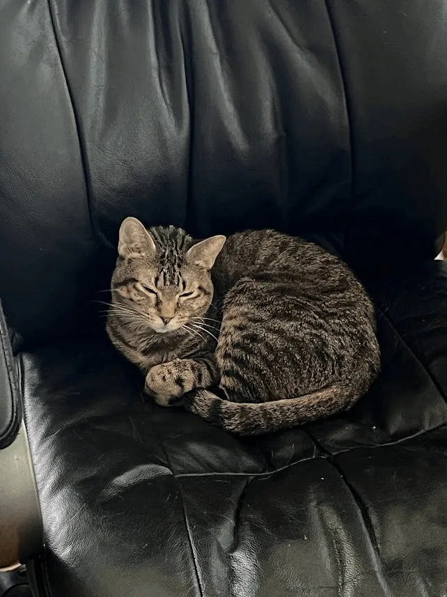 Precious thumbnail 3