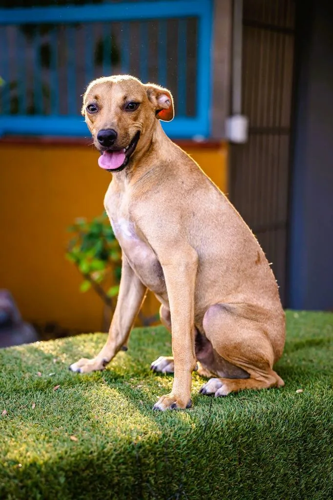 Max