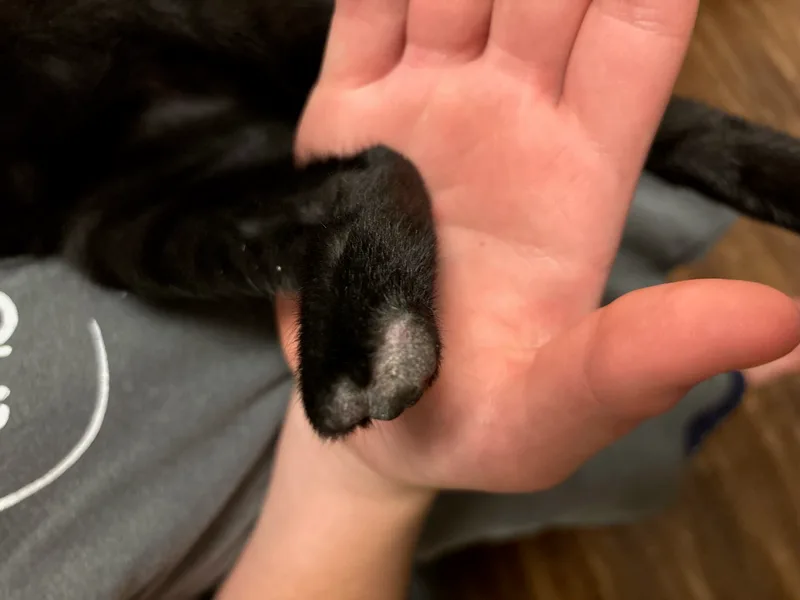 Little Mo thumbnail 3