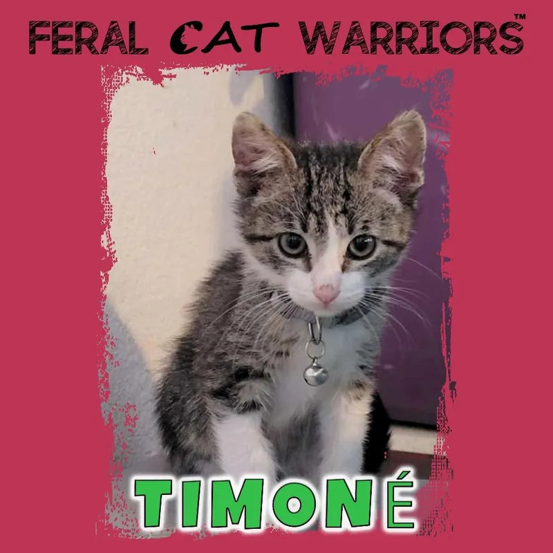 Timone