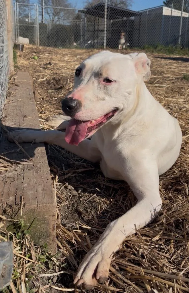 Ghost Sponsored By River thumbnail 3