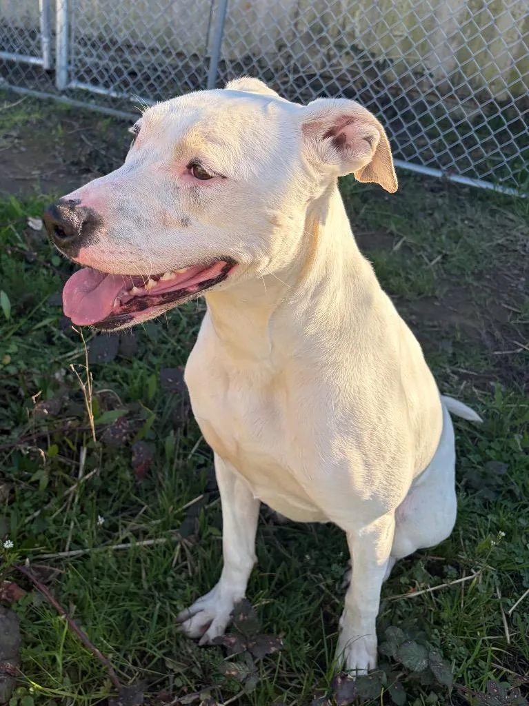 Ghost Sponsored By River thumbnail 4