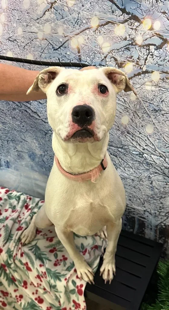 Ghost Sponsored By River thumbnail 6