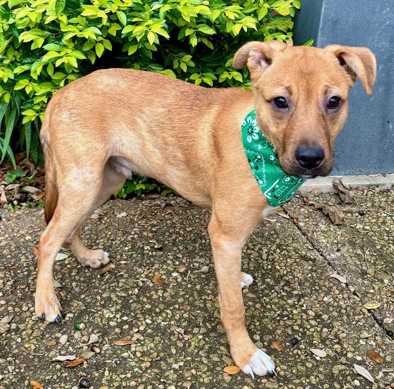 Gabe  Sweet Boy! thumbnail 3