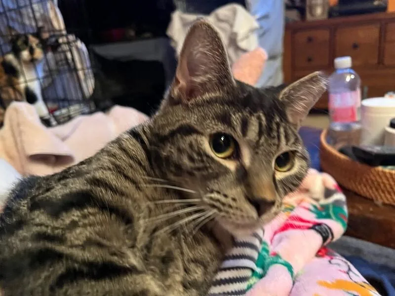 Sebastian