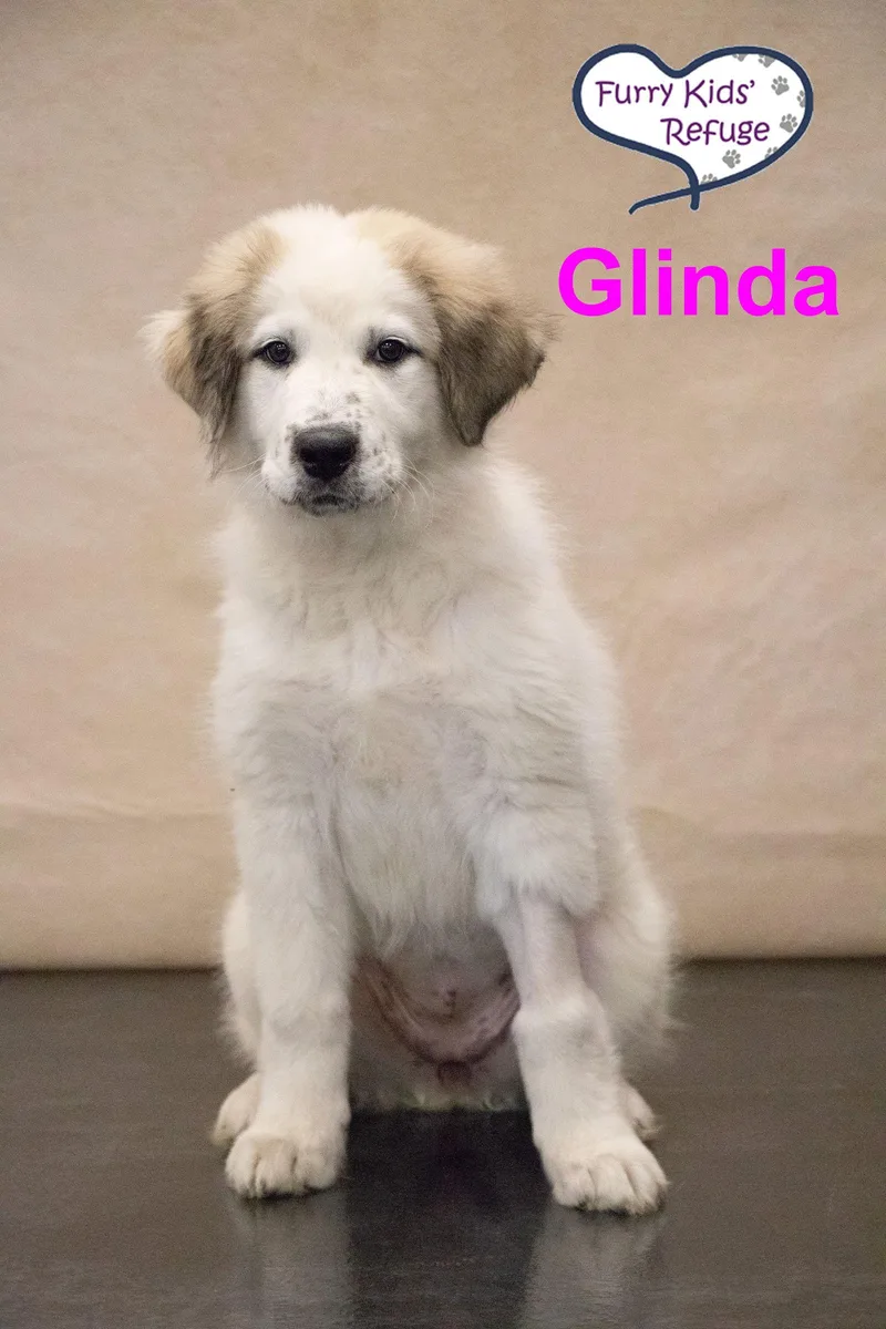 Glinda
