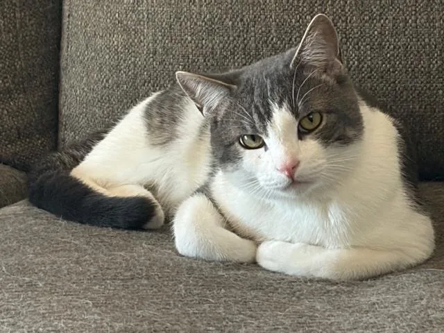 Hubba Bubba thumbnail 2