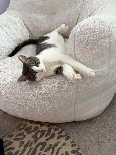 Hubba Bubba thumbnail 3