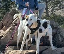 Mitchell thumbnail 2