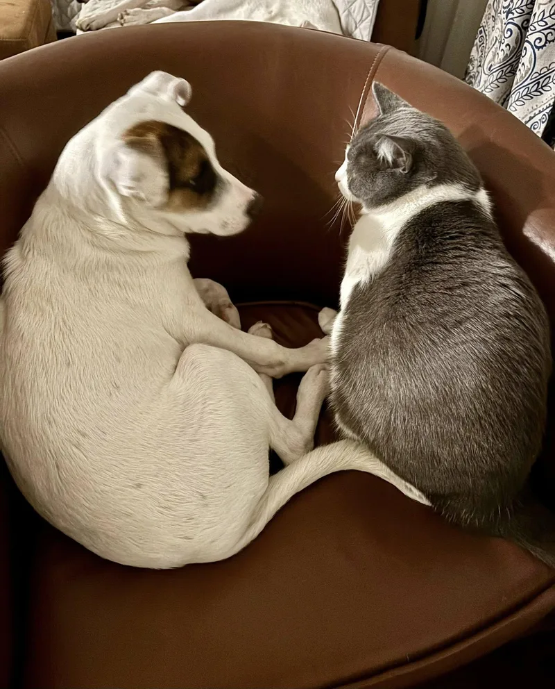 Mitchell thumbnail 5